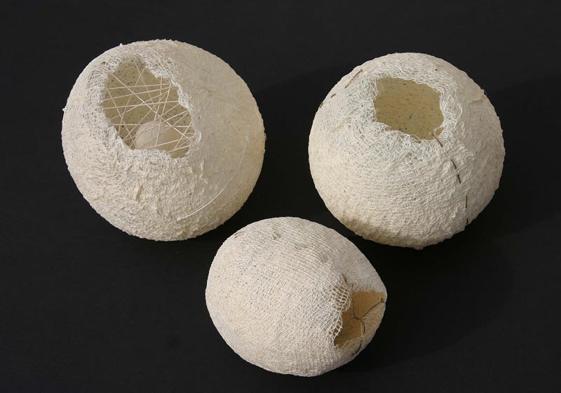 Three Husks (Mixed-media, 2009)